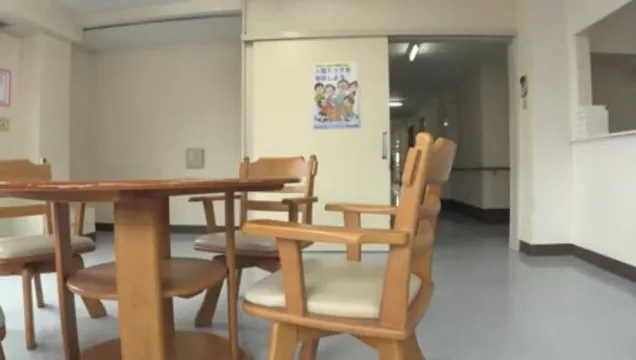 Preview supplied for Japanese nursing home