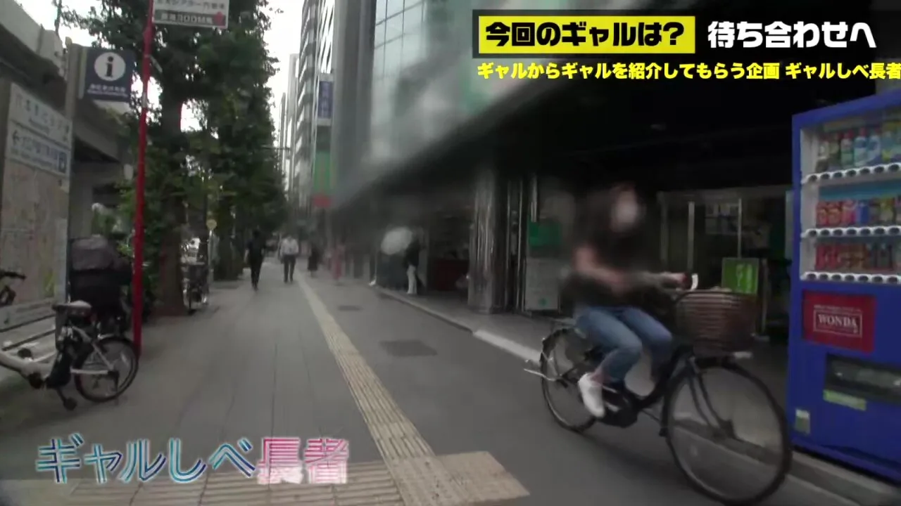 Preview supplied for 0005717_JAV_JapaneseAV_Censored_MGS_19min