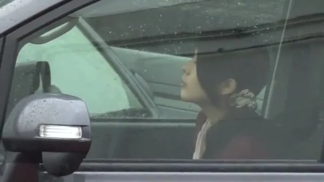 Preview supplied for Japanese-sex-toto-380