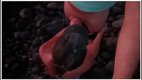Preview supplied for Public Blowjob On The Beach With Cum On Tits