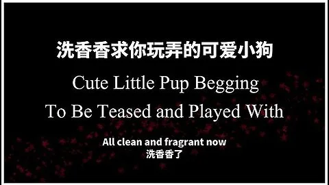 Preview supplied for Cute Puppy Boyfriend