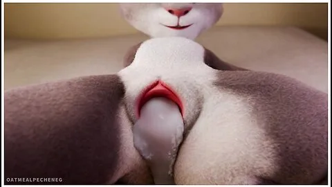 Preview supplied for Judy Hopps Riding Your Dick Close-up