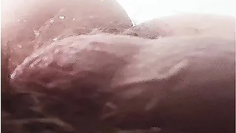 Preview supplied for Eating The Monkey