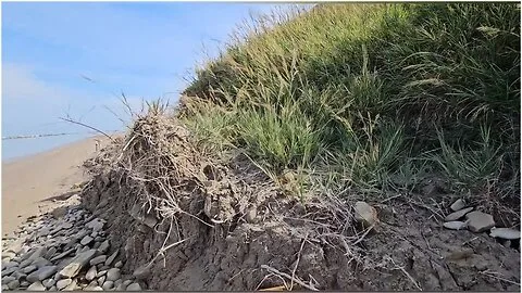 Preview supplied for Tormented Path To The Nudist Beach