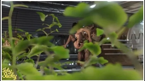 Preview supplied for Krogans Plaything 2