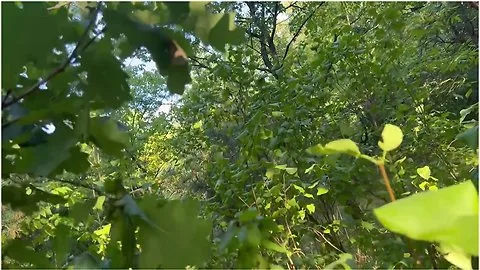 Preview supplied for Girl And I Mutually Masturbated When People Were Walking Behind Us - Ikasmoks