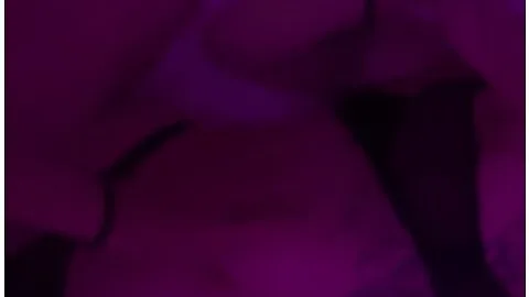 Preview supplied for Stepmother Plays With Her Stepdaughter - Mr Pussy Licking