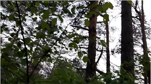 Preview supplied for Pov Public