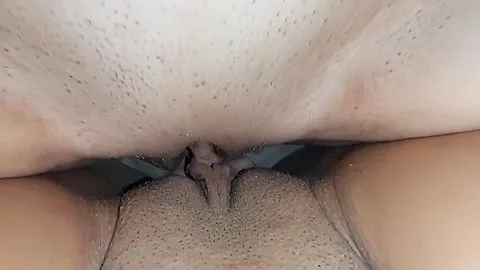 Preview supplied for Hot Tribbing