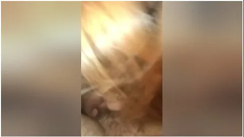Preview supplied for Prostate Milking Stepdaddy As I Suck His Big Dick And Listen To His Moans