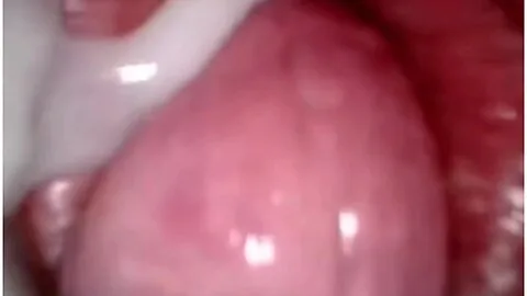 Preview supplied for Inside Cam Creamy Pussy