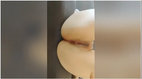 Preview supplied for Anal Internal Ejaculation