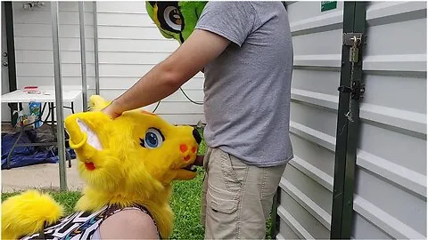 Preview supplied for Outdoor Kitty Blowjob