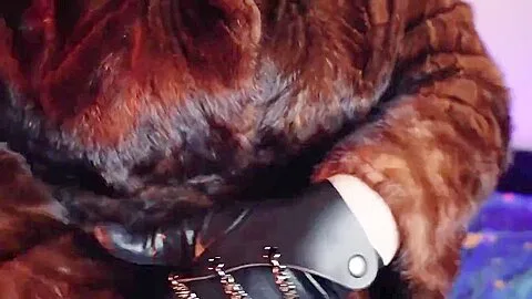 Preview supplied for Joi Compilation Clip 2 Hours: 4 Hot Jerk Off Instructions With Cum Countdown By Arya Grander