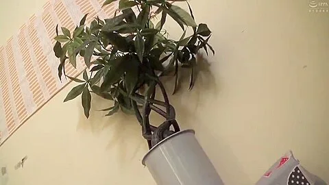 Preview supplied for Best Porn Scene Old/young Try To Watch For , Check It