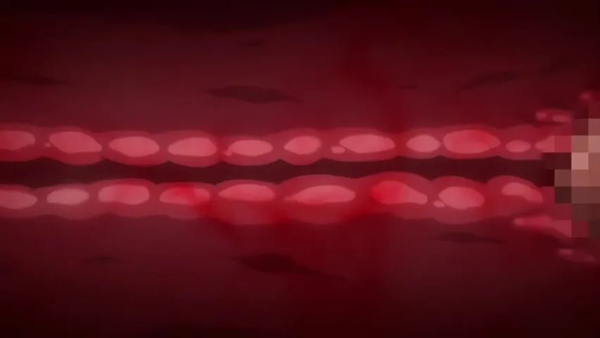 Preview supplied for Dark Figure with Obsession inside forbidden memories