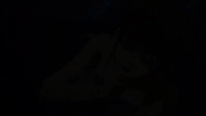 Preview supplied for Slow Alluring Promise_090125p0003