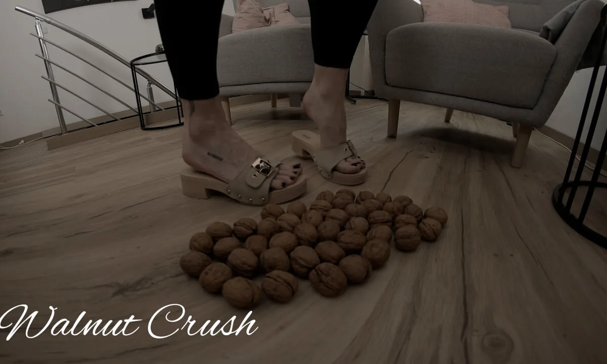 Preview supplied for Walnut Crush