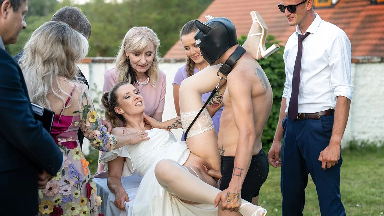 Preview supplied for Releasing Wedding Hound - Vip4k