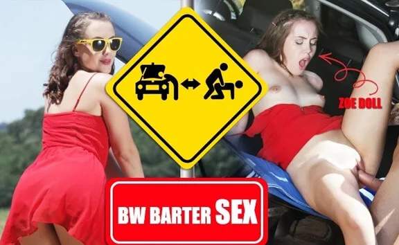 Preview supplied for BW Barter Sex