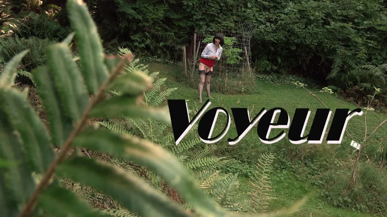Preview supplied for Voyeur