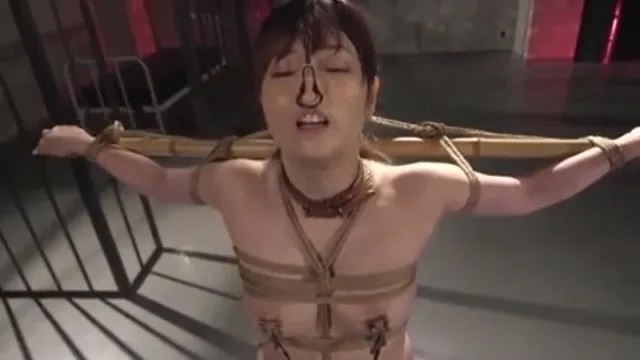 Preview supplied for 06043,A woman who screams in agony