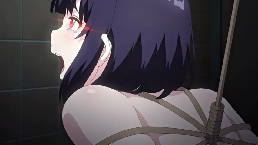 Preview supplied for Shameless Memory under the night_21022606p0